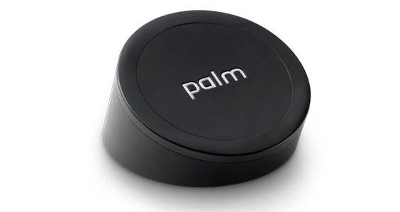 palm_charger