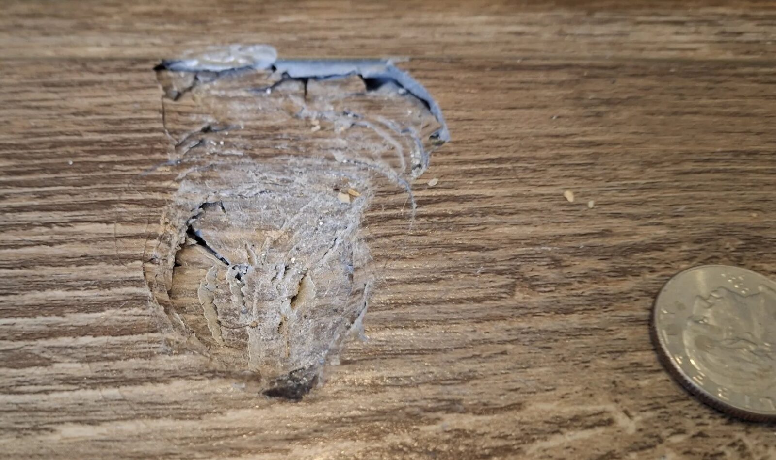 Meteoryt McDonough Fot. Cade Massey, University of Georgia